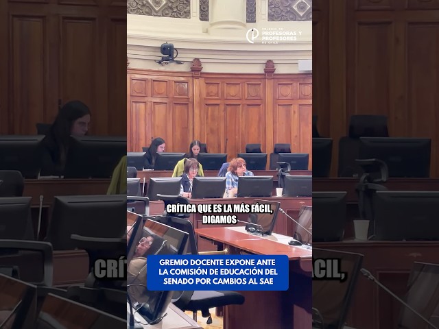 GREMIO DOCENTE EXPONE ANTE LA COMISIÓN DE EDUCACIÓN DEL SENADO POR CAMBIOS AL SAE