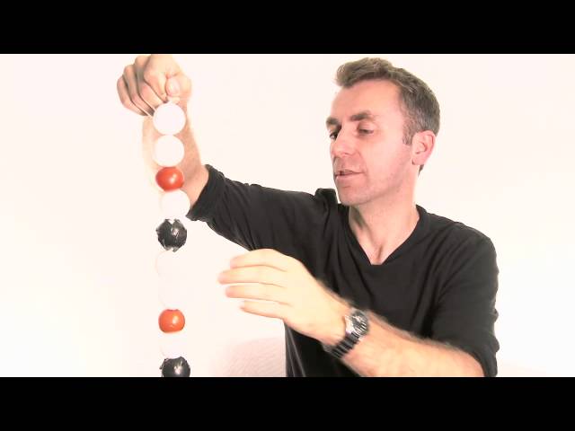 What the Encode project tells us about the human genome and 'junk DNA'