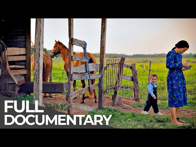 No Power, No Technology, No Modern Life: The Mennonites of Mexico | Free Documentary