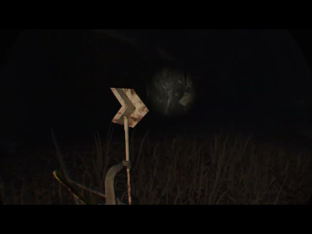 Blair Witch: VR Editon | PSVR (PS5) | #2 Livestream