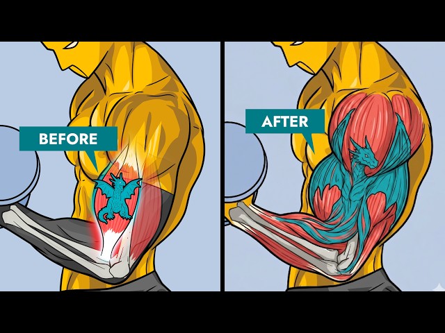 What actually makes muscles grow