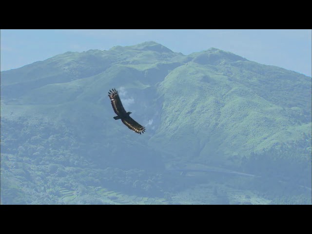 Zhuzihu past and present 5mins