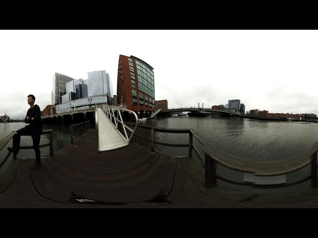 Seaport Contemplation