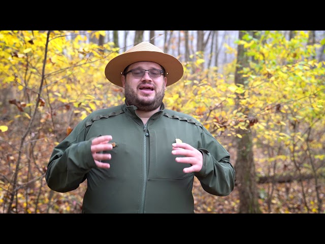 Shenandoah, Virtual Ranger Program: Wilderness