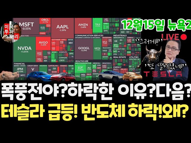 US stock market/Two reasons for the decline? Tesla's surge! Why? Nvidia, Google, Apple, Amazon, M...