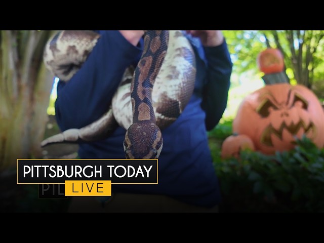 What's new at the zoo this Fall?