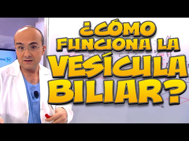 Gallbladder: How Does It Work? - Human Body #08