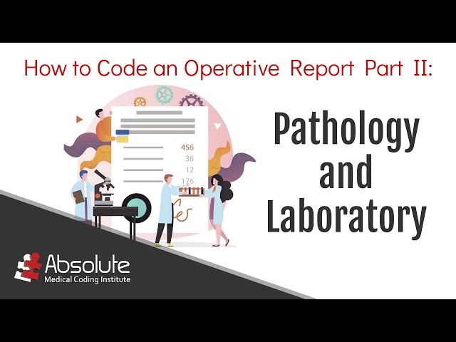 Part II: Learn How to Code an Operative Report: Pathology and Laboratory