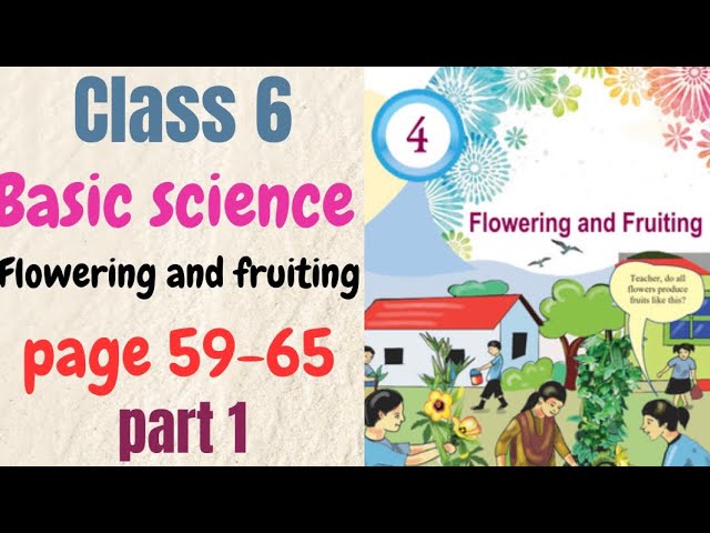 Class 6 Basic Science Chapter 4 | Flowering and Fruiting | Pages 59–65 | Part 1