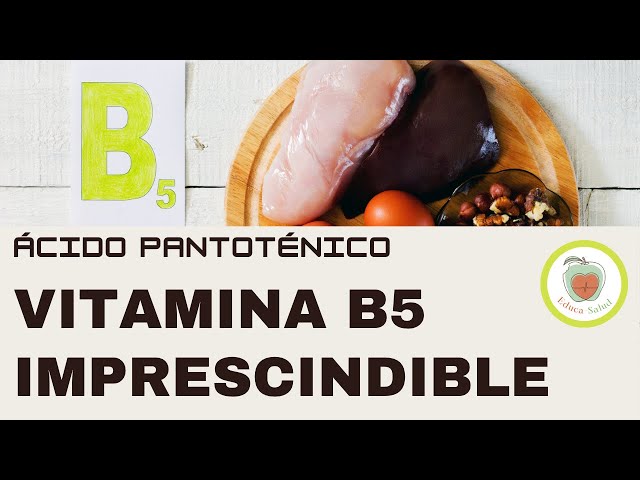 VITAMINA B5 o ÁCIDO PANTOTÉNICO. Todo lo que  necesitas saber