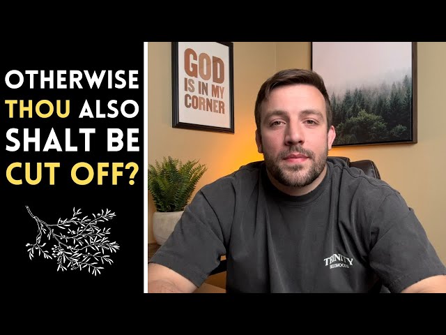 Does Romans 11 DEBUNK Once Saved Always Saved ⁉️