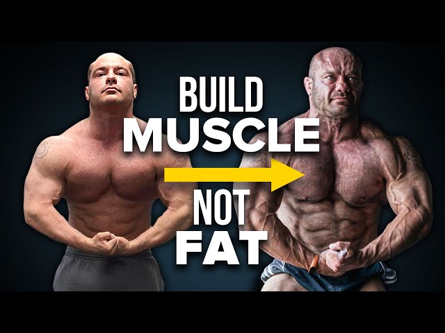 The Most Effective Way To Bulk For Muscle Growth (clean vs dirty bulk)