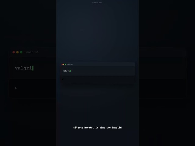 This C Bug Never Crashes -- Until Valgrind Finds It