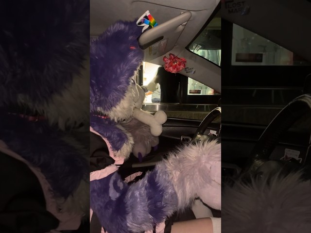 Typical experience hanging out with a furry #fursuit #furry