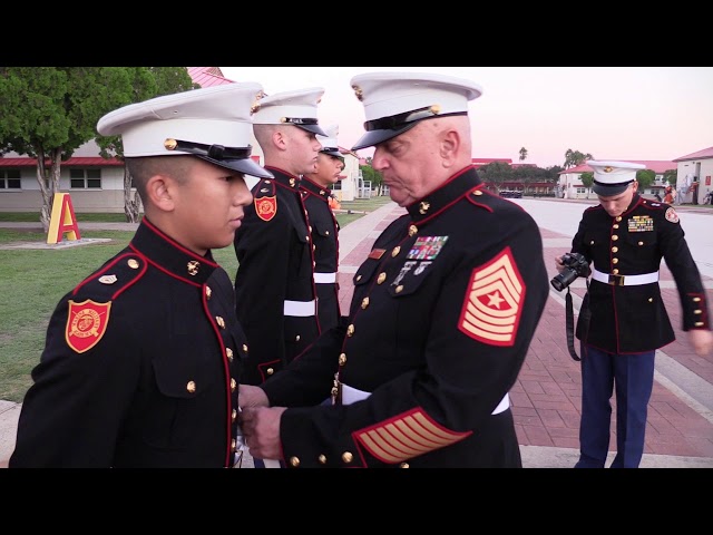 Blues Inspection Alpha & Fox Co - 10 /8/2017