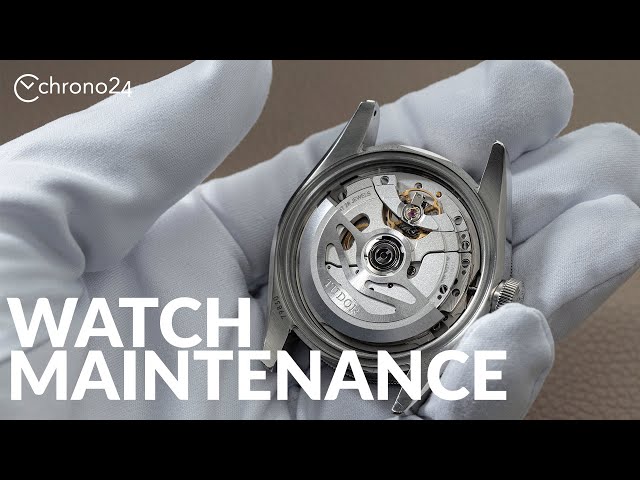The Ultimate Guide to Watch Maintenance