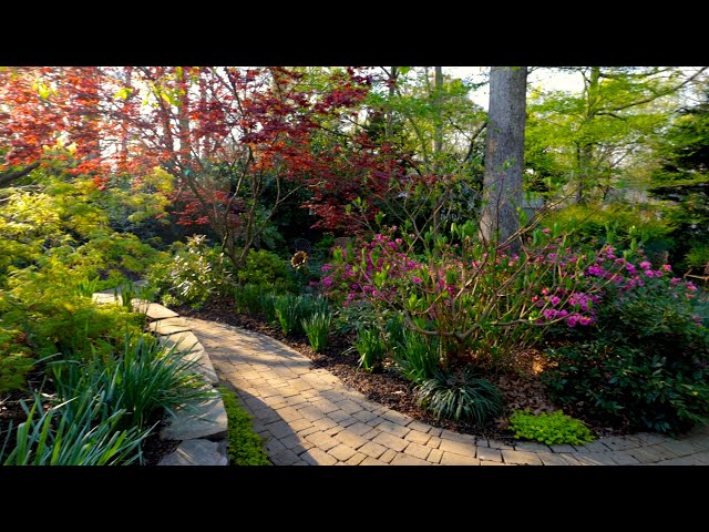 Backyard Garden Oasis