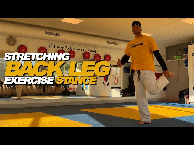 Stretching Exercise Part 2 Back Leg Stance