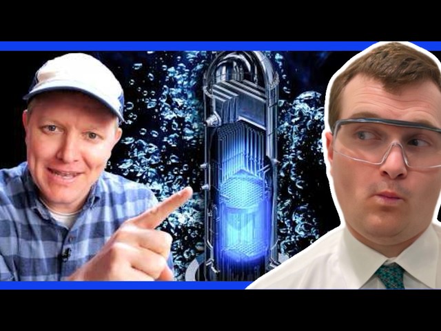 Inside a Nuclear Reactor Core - Nuclear Engineer Reacts to Smarter Every Day