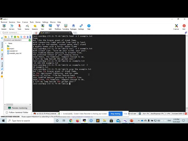 Bioinformatics 06: Basic Linux Commands. Part 2: rm, nano, less, head, tail, wc, grep and redirect.