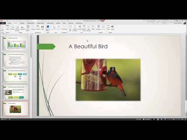 Computer Concepts & Applications, Chapter 11