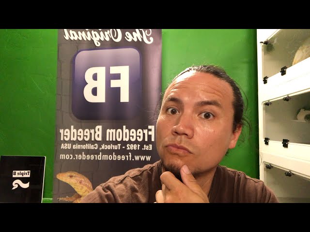 **LIVE** Back in the Snake Room (or am I?)