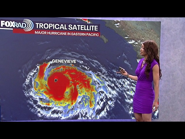 Tropical Weather Forecast - Gulf remains quiet, monitoring the latest with Hurricane Genevieve