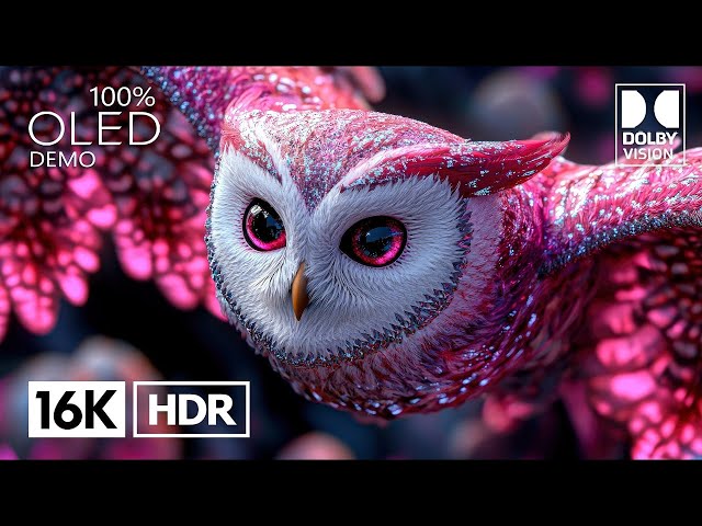 8K ULTRA HD DOLBY ATOMS - STUNNING 8K HDR IN 240 FPS #8khdr