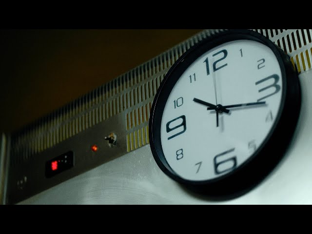Papillon - ¡ +1 !