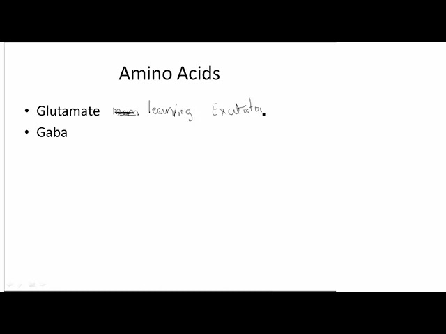 Gaba and Glutamate 5 min 1