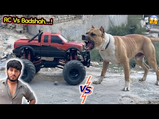 Monster Truck Vs Bully Badshah 😱