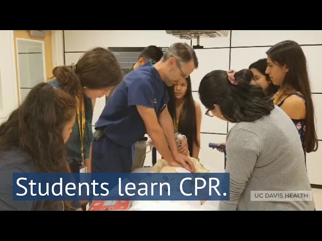 Prep Médico Program
