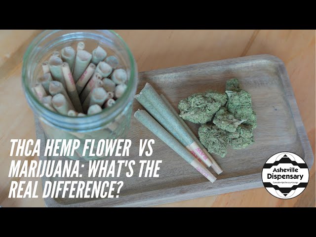 THCa Hemp Flower vs THC -- what's the difference?