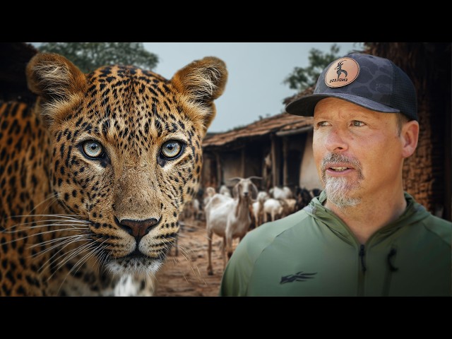 A Village Under Attack by Leopards!