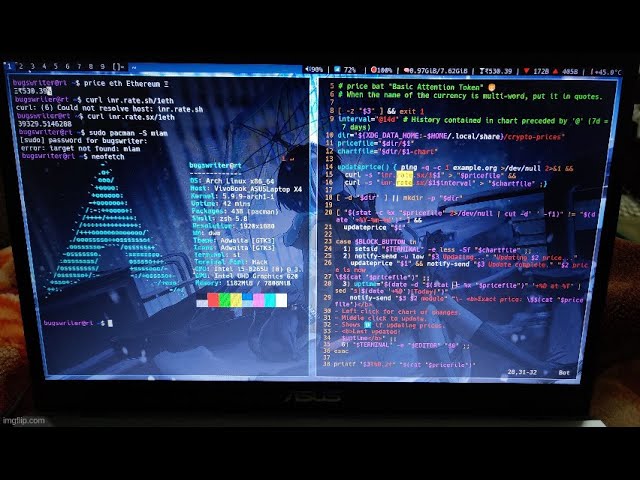 Living inside a Linux Terminal