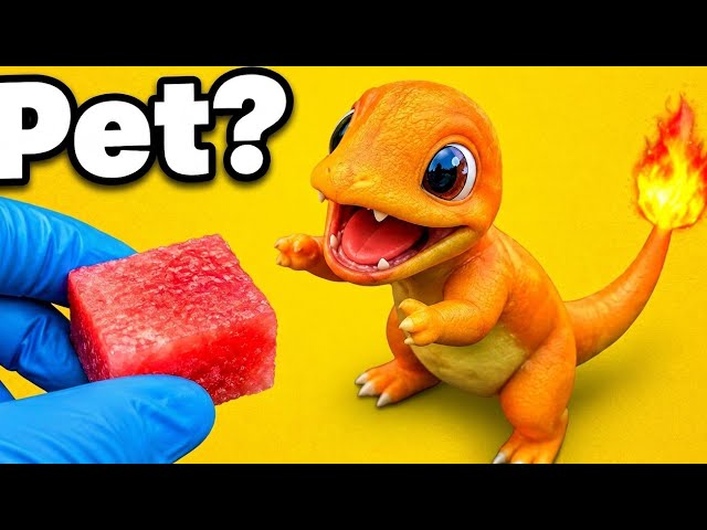 I got a pet charmander
