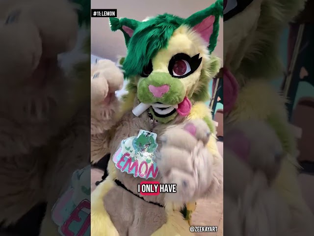 beautiful fursuits from furnal equinox 2025! #furries #fursuiters #fursuits #furryfandom