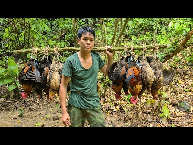 Solo Jungle Survival: Spotting Wild Fowl Tracks, Setting Traps & Off-Grid Living, SURVIVAL SKILLS 2