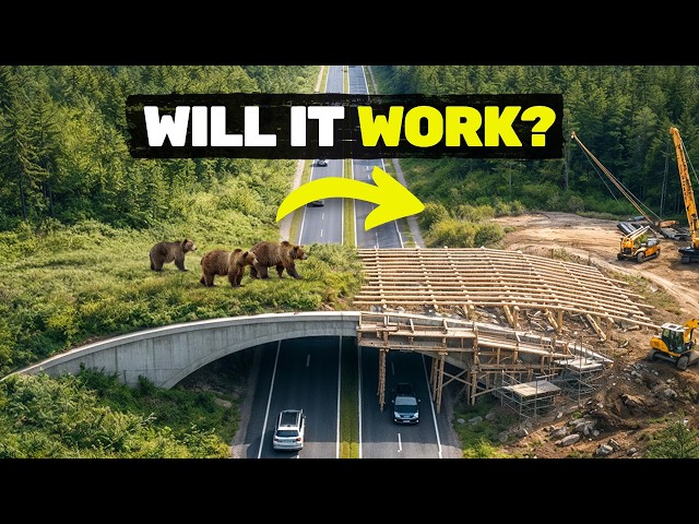 We’re creating the world’s biggest wildlife corridor