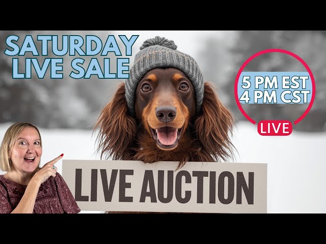It’s Cold Outside but These Deals Are Fire ❄️ Live Auction
