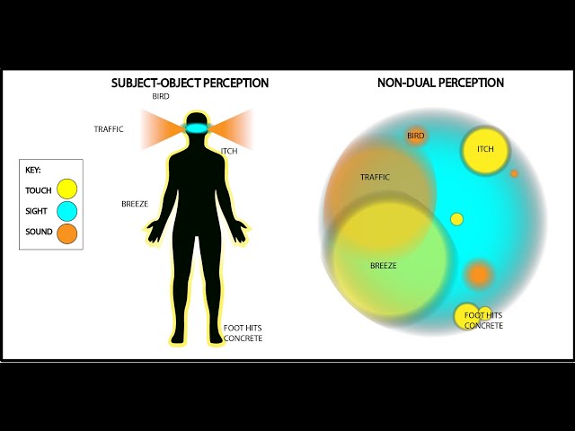 Dualism vs Non-Dualism Explained - with visuals