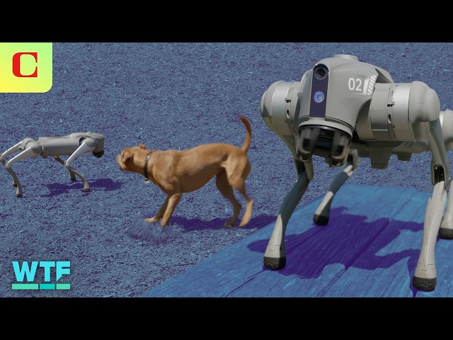 I Spent a Day With Unitree's Go2 Pro Robot Dog | What The Future