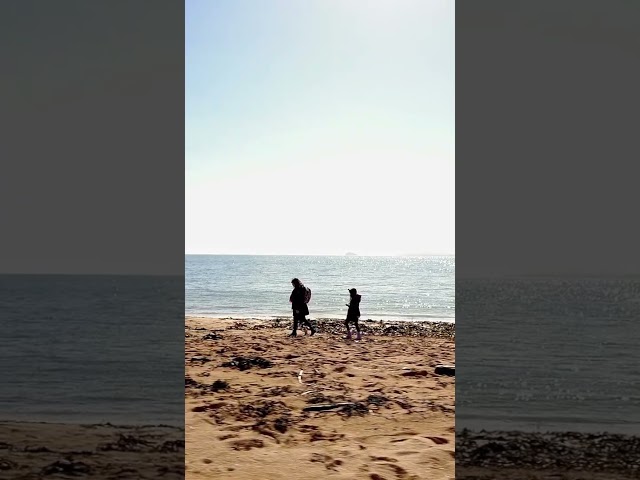 Peace & calm 7 ❤️🧘 #beachlife #beach