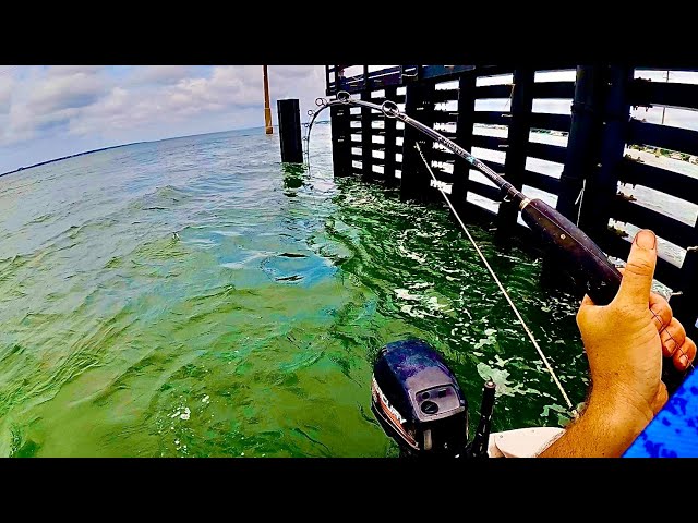 GAME OVER - Sheepshead Master Class