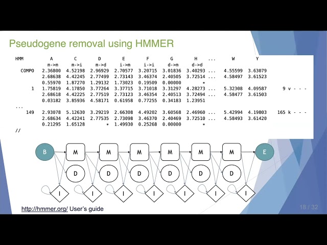 Dr. Teresita Porter - TorBUG Talk - Using a hidden Markov model to remove pseudogenes from COI...