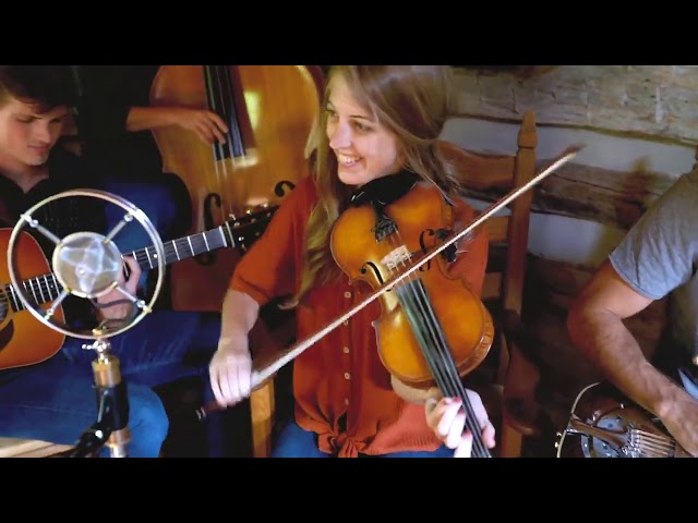 Swallowtail Jig (Instrumental) - The Petersens (LIVE)
