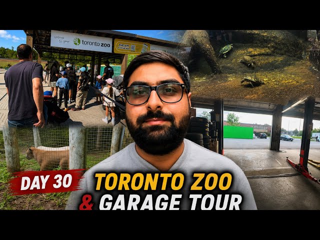 Final Day of My Canada Series 🇨🇦 | Toronto Zoo Full Tour + Automotive Garage Tour