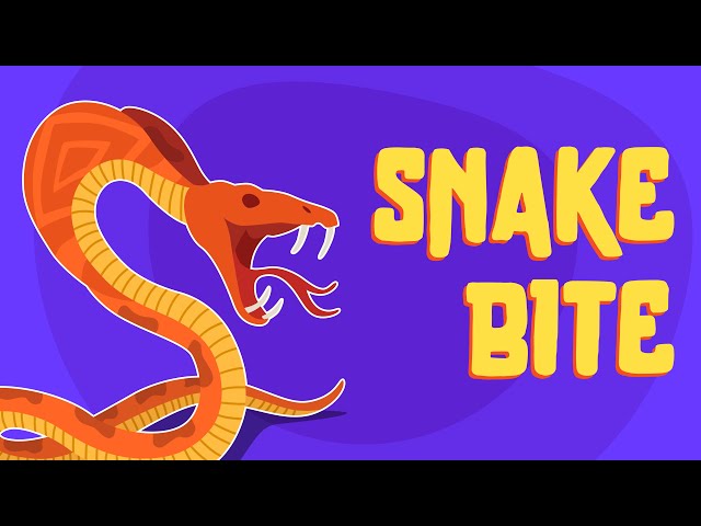 How To Treat Snake Bites - First Aid