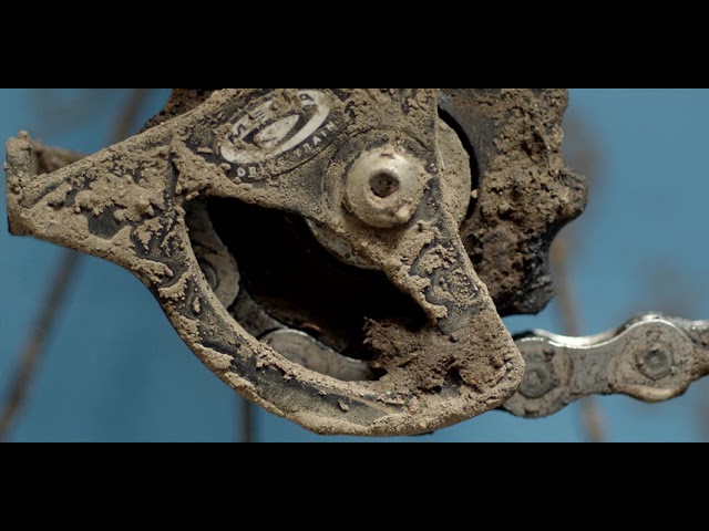 Life Cycles 2010 [1080p] (Subtítulos Español)
