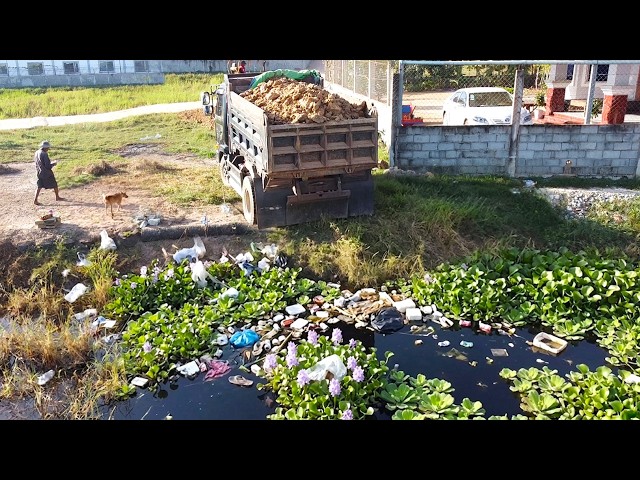 First Start Amazing PROJECT!! Filling Land Delete Deep Pond Use Strong Bulldozer & 5Ton Truck.